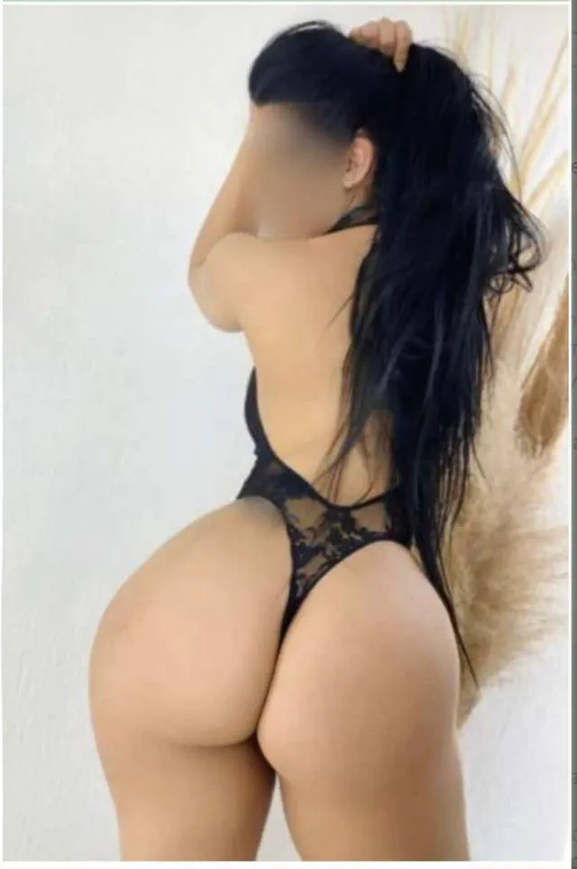 3478588490 Bronx Escorts 