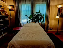 Therapeutic Traveling Massage--Now Scheduling 12/8