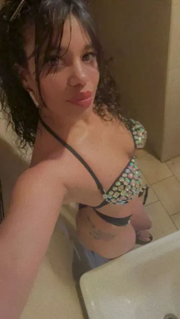 2283355970 Tampa Escorts Alaya