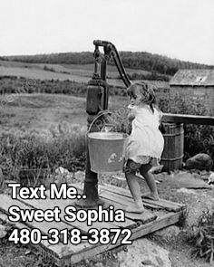 480-318-3872 Phoenix Escorts  Sweet Sophia